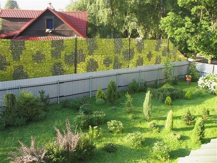 Соседские окна, полные мерзости