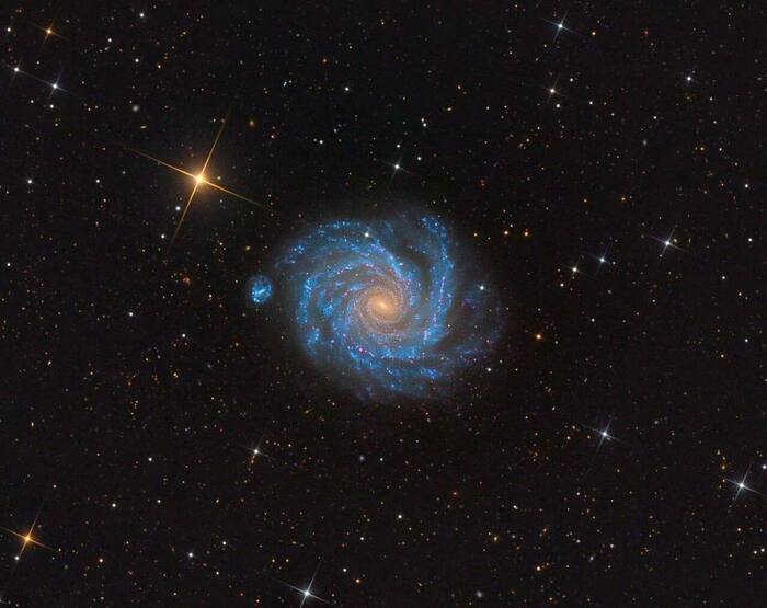    NGC 1232 , , , ,  , , , 