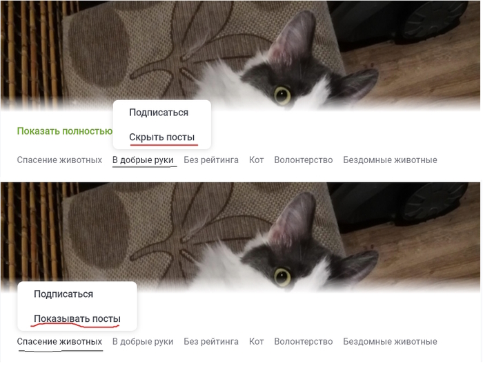 Это как у Пикабы работает?