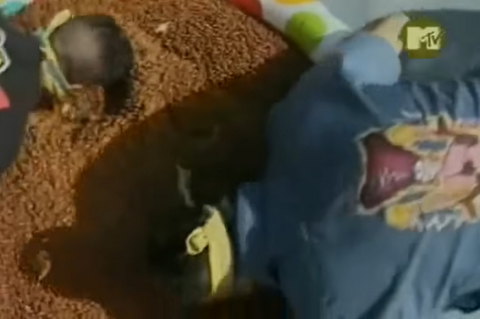 Давай на спор? (MTV + мысли вслух) MTV, Деньги, Жадность, Цена жизни, Длиннопост