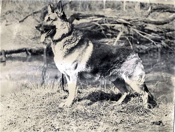 ������� ��� �����