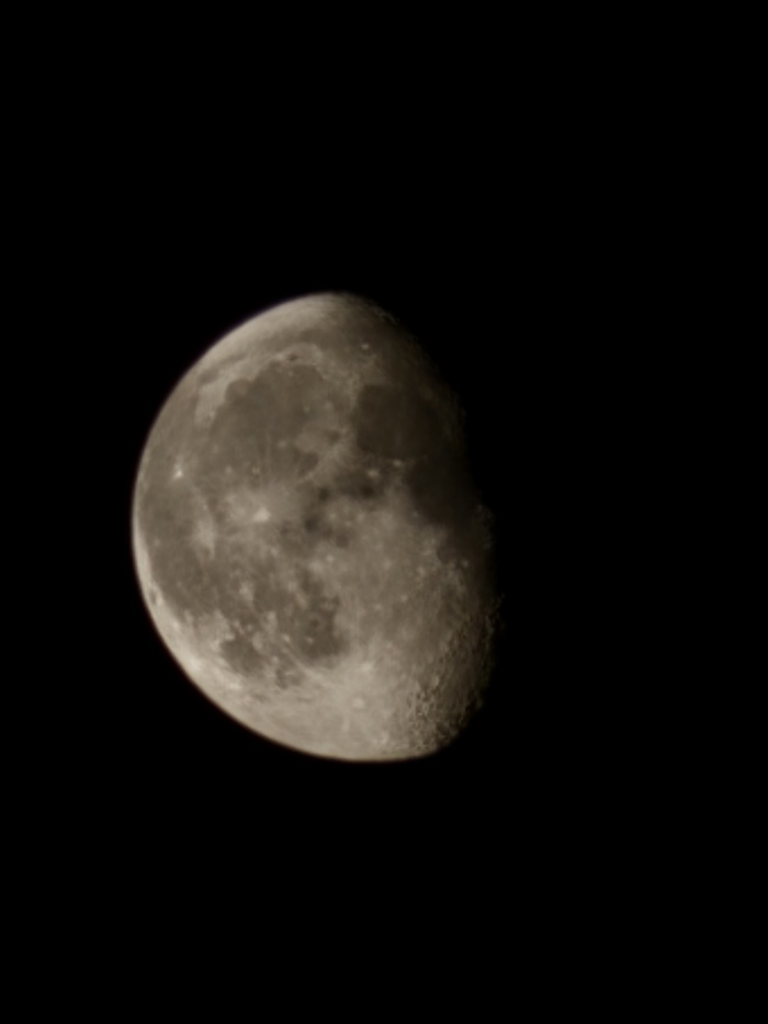 ���� ������� ���������� ���