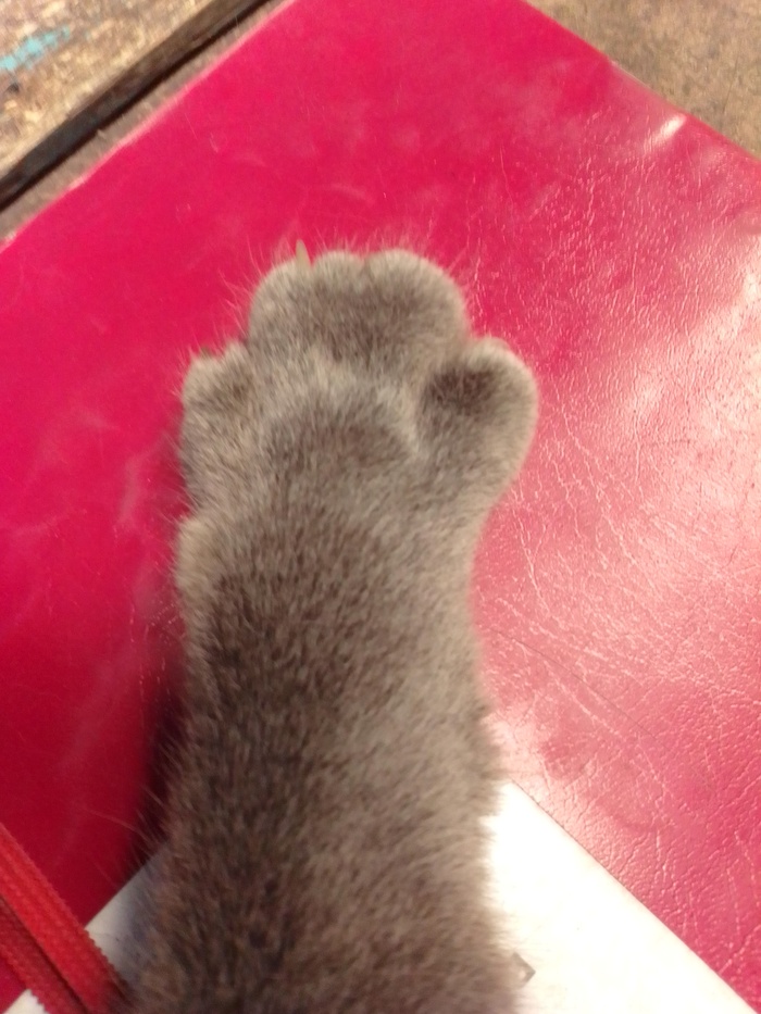    ! , , ,  ,   