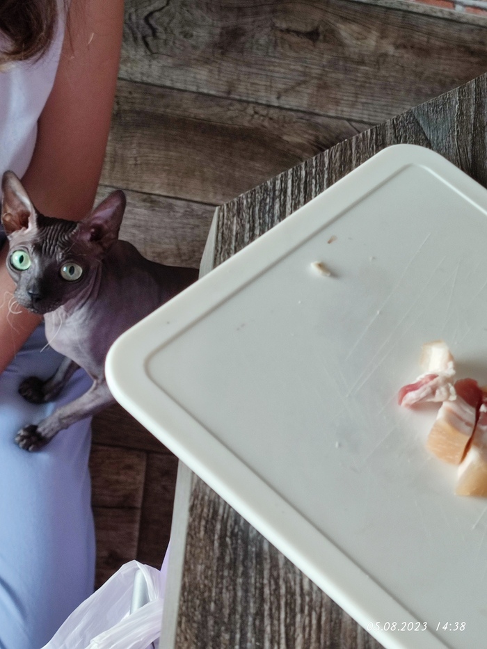 ��� ����� �� ������