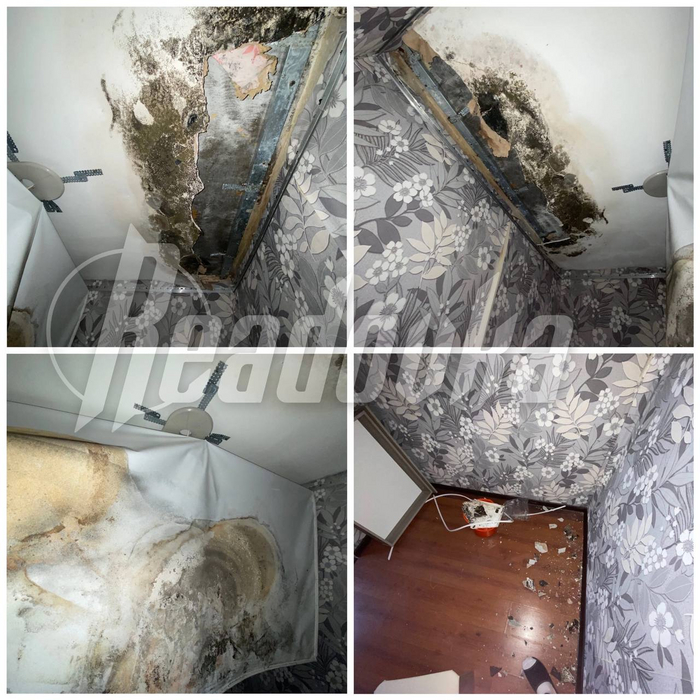 В РЯЗАНСКОЙ ОБЛАСТИ СИРОТА, КОТОРУЮ ПОСЕЛИЛИ В КВАРТИРУ С ПРОТЕКАЮЩЕЙ ...