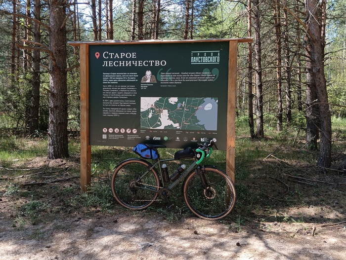 Поездка выходного дня Gravel, Лес, Лето, Велосипед, Велосипедист, Велопутешествие, Велопрогулка, Длиннопост
