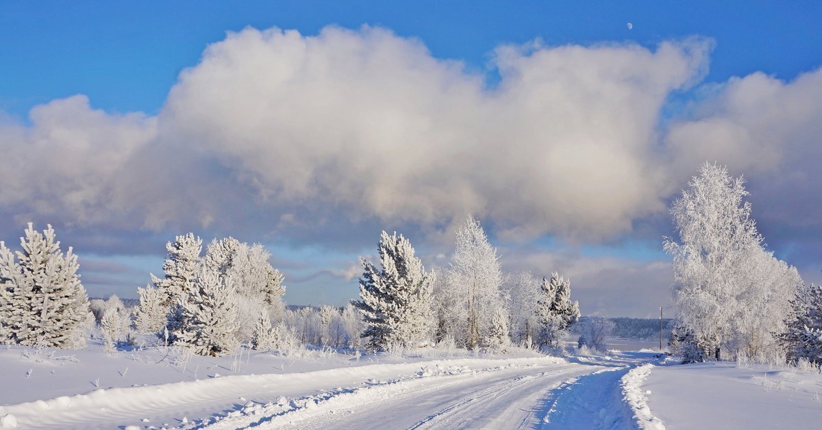 Зимняя природа 6 класс. Зимние дороги. Снежная дорога. Зима дорога. Зимняя природа Сибири.