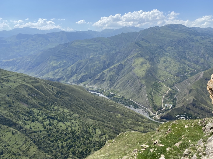 ���� ���������