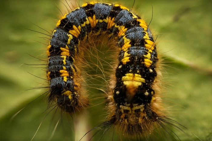 Фотографирую пока фотографируется