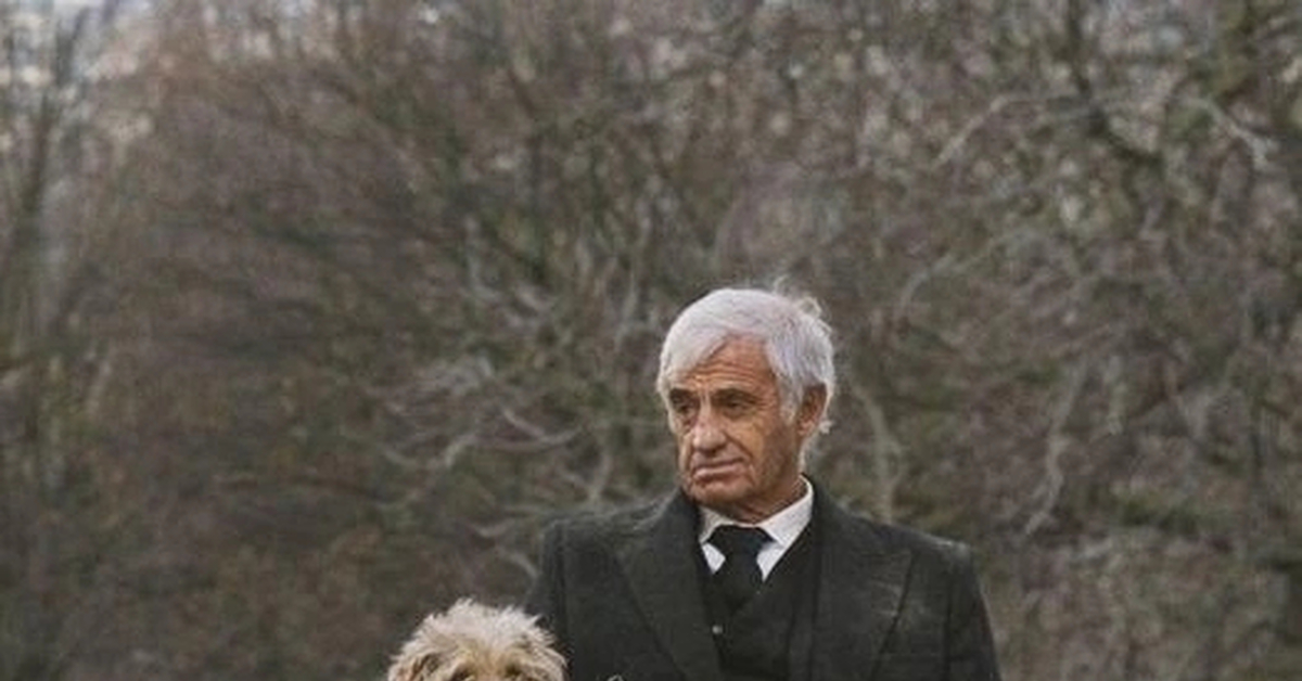 Жан-поль бельмондо свободное падение. Роджер доркас. Жан-поль бельмондо человек и его собака. Человек и его собака фильм с бельмондо. "человек и его собака" франсис юстер, 2009.