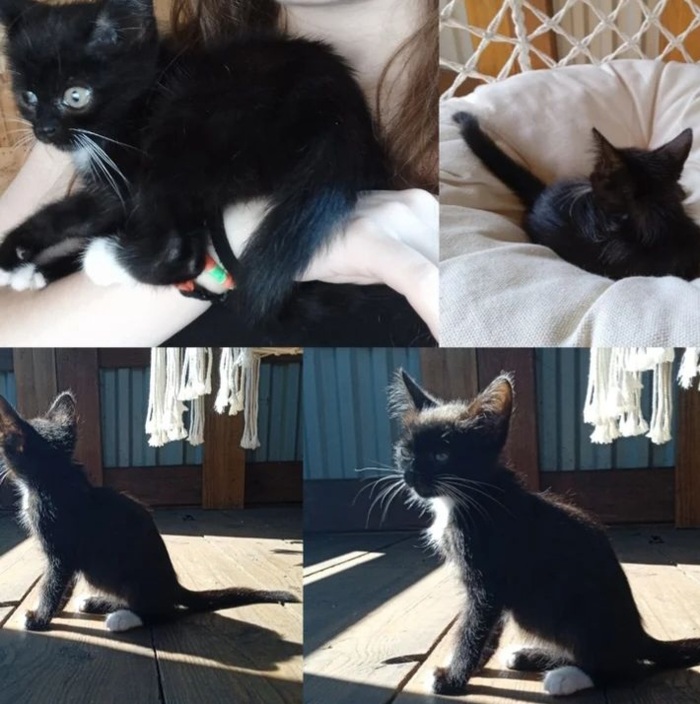 ����� ������ ������! ���� ������!