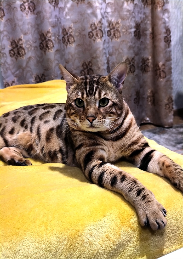 ���� �����)))