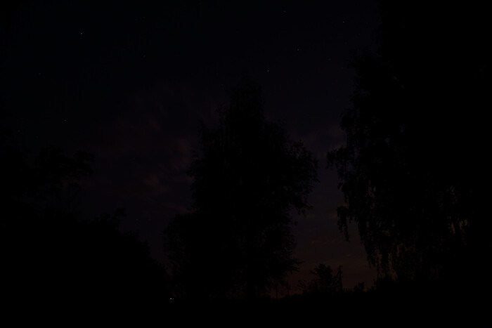   ! Nikon d3100,  , , 