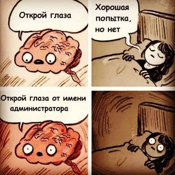 1691527178184225638.webp