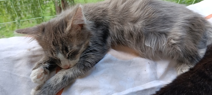 ����������� ����� �� �����, �����