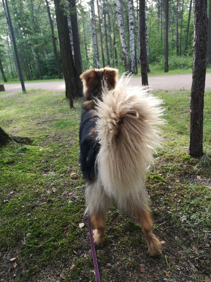 Буч Иваныч. Утренний