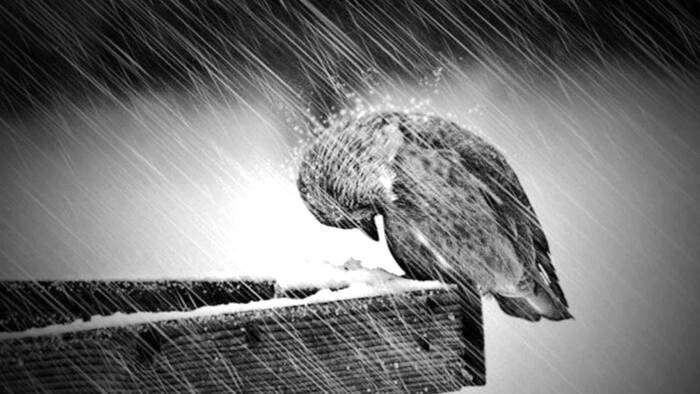 Из старенького | Пикабу