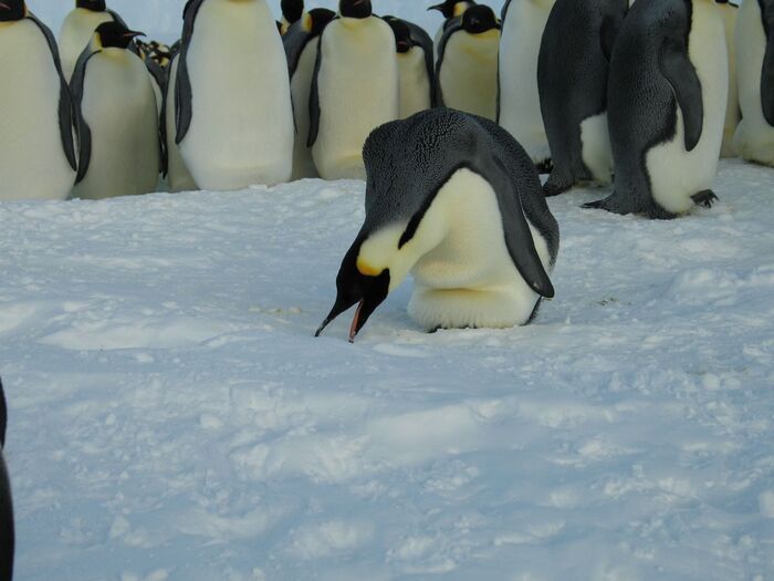 Пить хочется :)