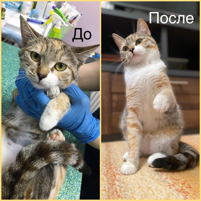      !    ) ,  , ,   , ,  ,  ,  ,  , 