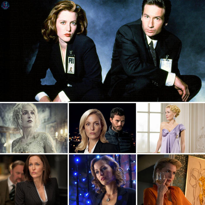   / Gillian Anderson   55-  !  ,   ,  ,  , VHS, , 90-, 