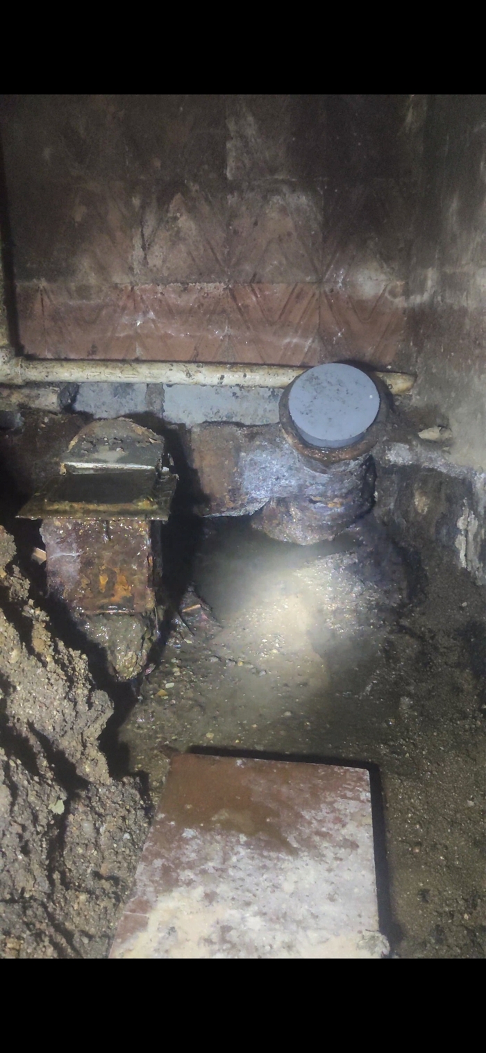 ����������� ����������� � ����������� ��������