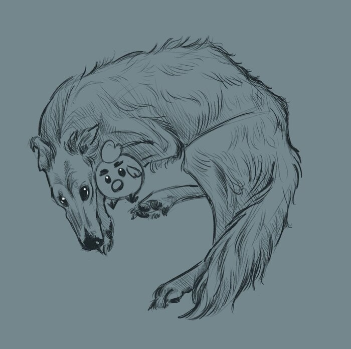 � ������� ������ ���� ���� ��������!