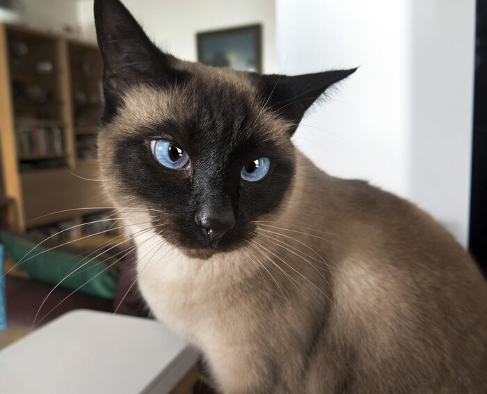 Выйти из зоны комфорта.Куда и зачем?