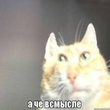 ����� �� ���� �� ����� �� ��������, �� �� �� ������?�