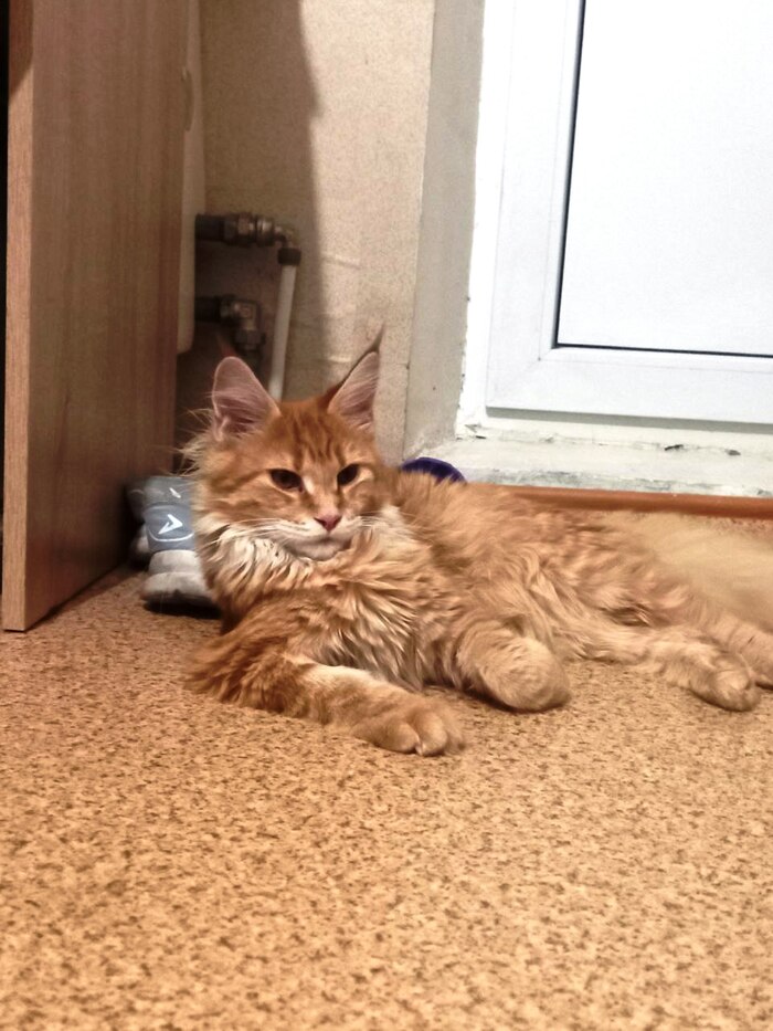 ������� � ��������: "���������, ������� ����� �������� ��� ��� ���� ��� ���� ��� ���� ������?.."