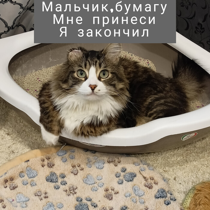   , , ,   