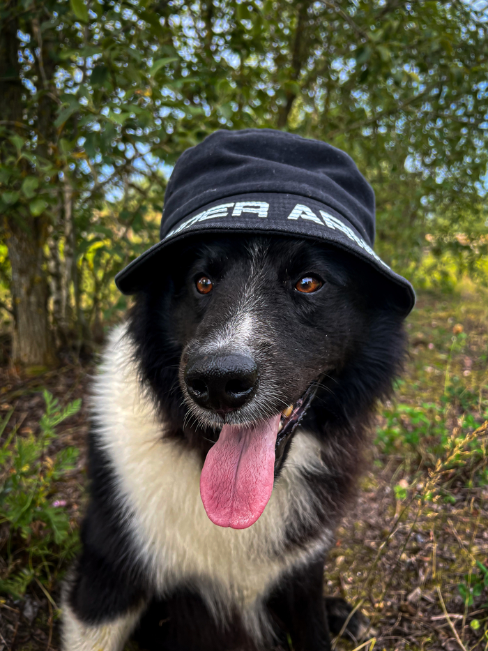 ���� �����