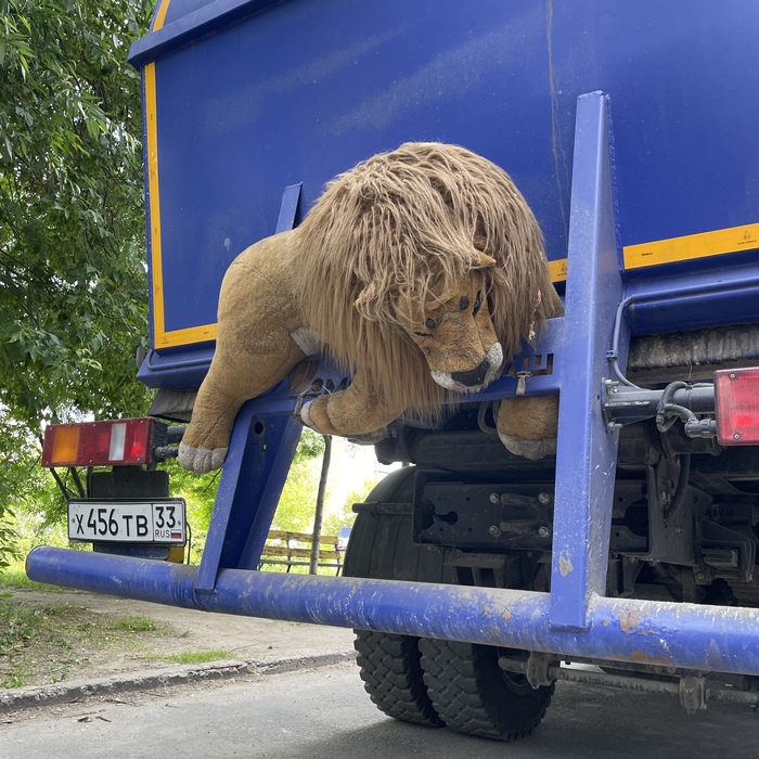 Я на солнышке лежу