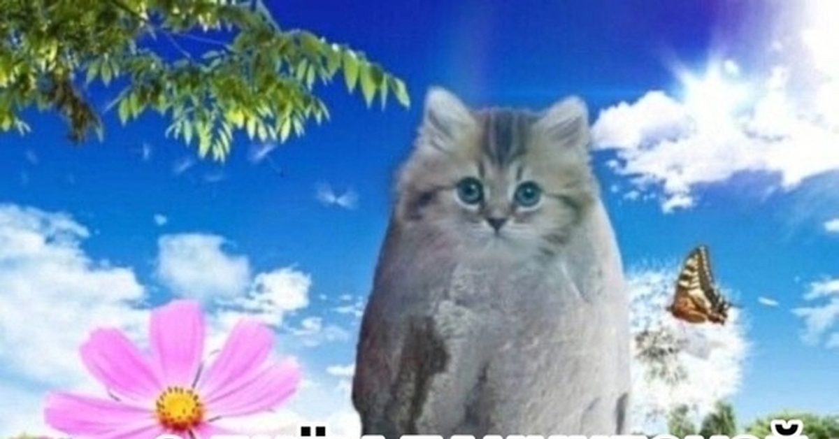 Болезнь Крона и буденофальк | Пикабу