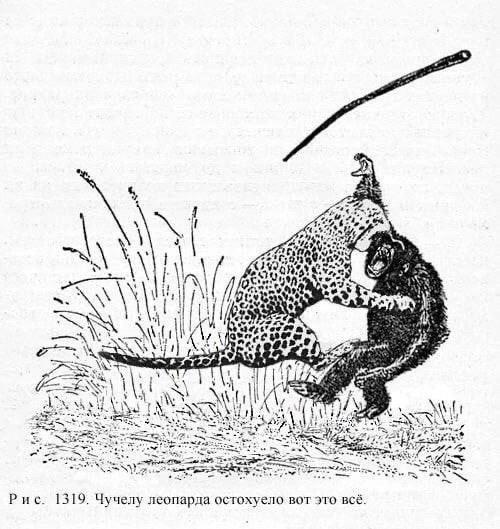 ���� ������� ����� �� ������