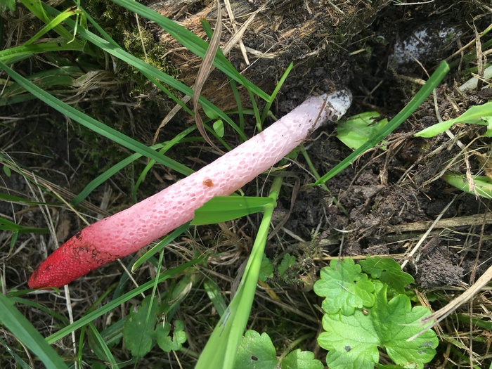   , , , 