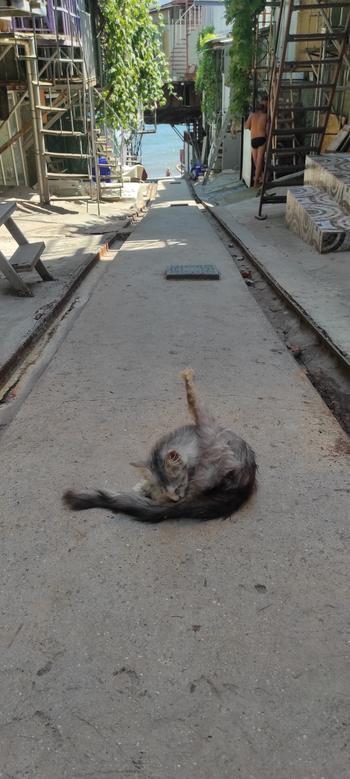 ���� � ������� �����