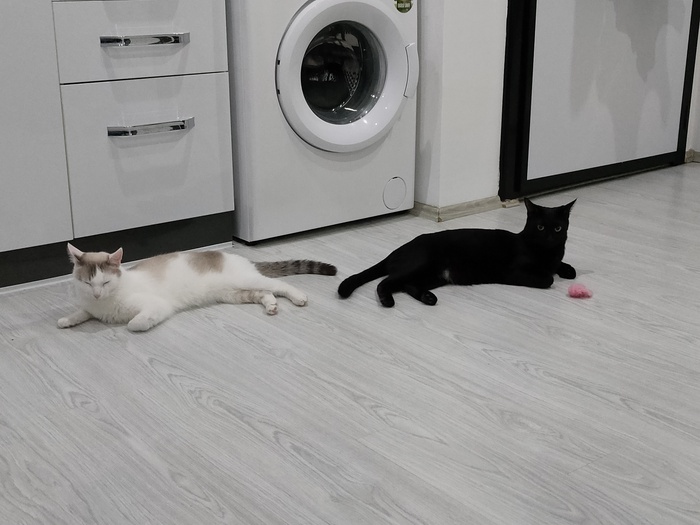 Набегались и отдыхаем