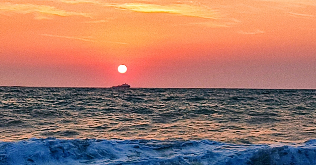 Что ищет он в стране далёкой... | Пикабу