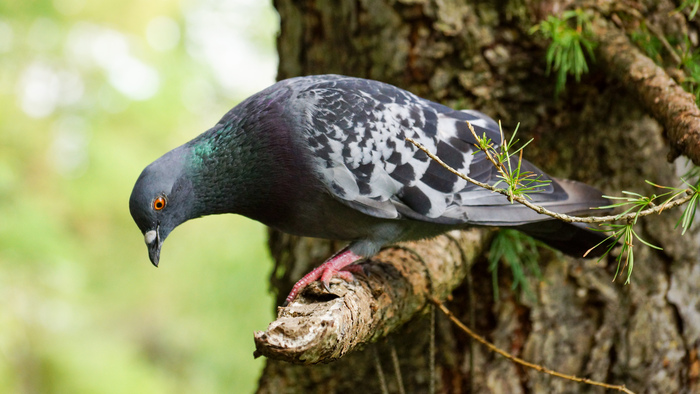 Парк Покровское-Стрешнево | Пикабу