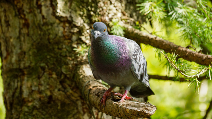 Парк Покровское-Стрешнево | Пикабу
