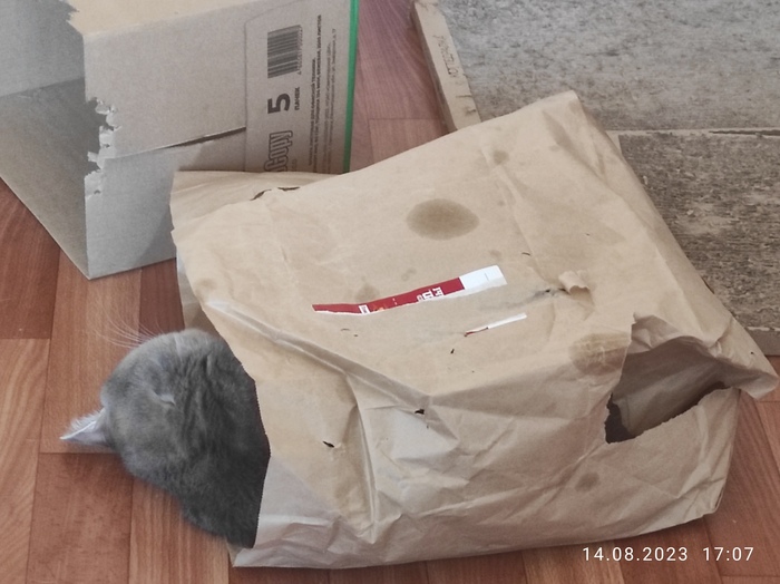 ������ ������� ��� ����