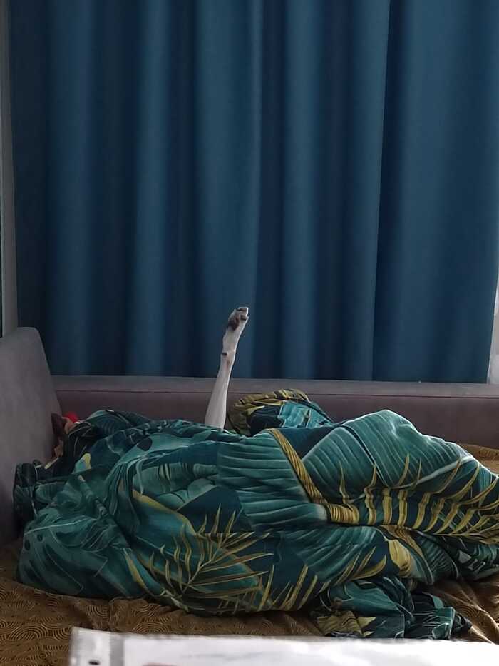 � ������ �����