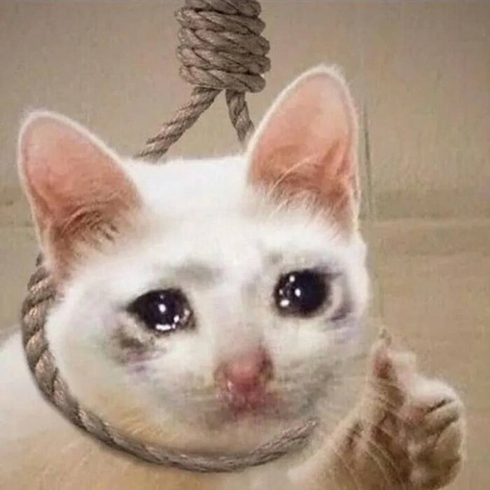 Без комментариев(