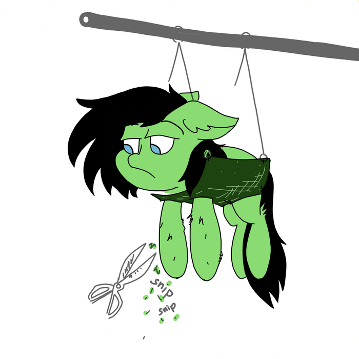 - My Little Pony, Filly Anon