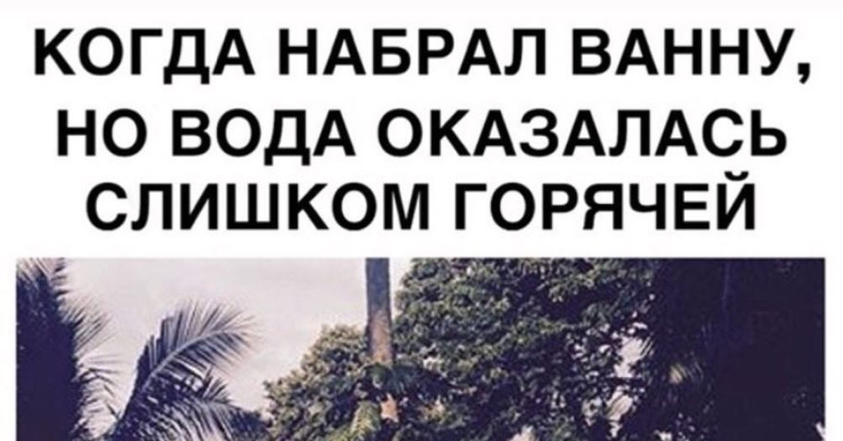 Не вылазить же, подожду | Пикабу