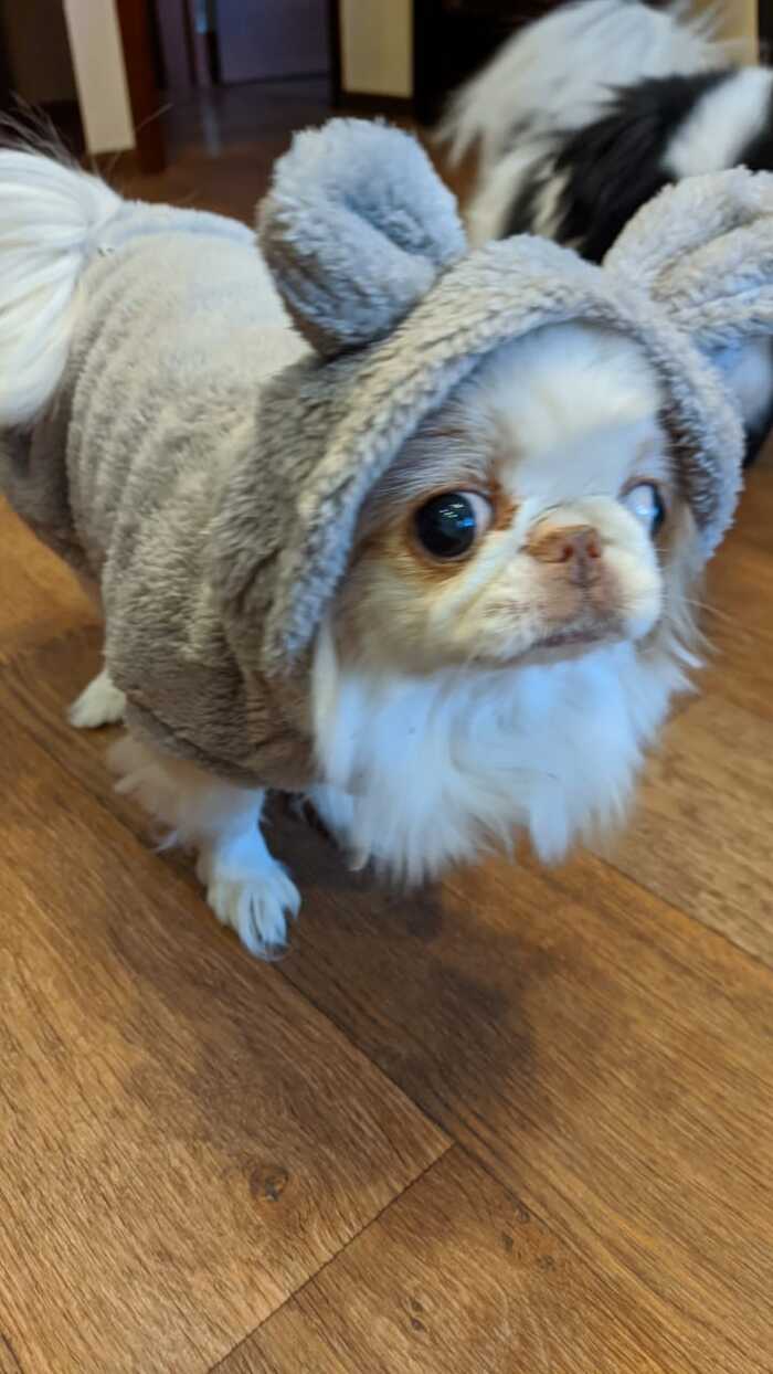 ,     ,  , , , , 