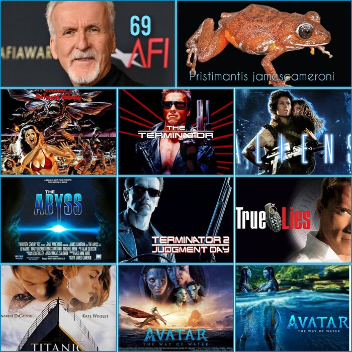   / James Cameron, , , ,   69-  !  , ,  , VHS, 80-, 90-, 