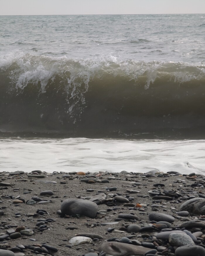 ������ ���� ������?