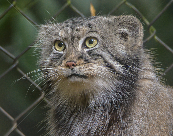 � �����������...