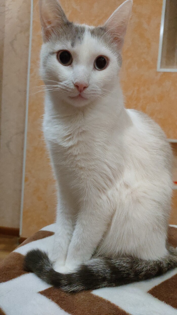   ? , , , , ,  ,  ,  